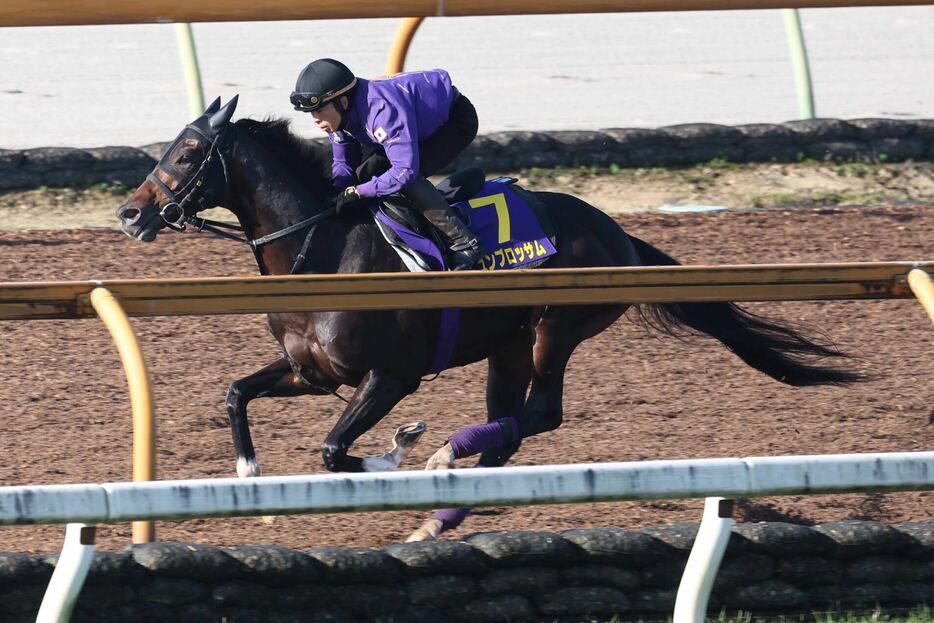 連覇へ万全のナミュール