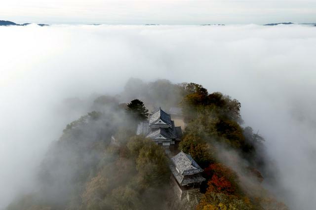 山城を包むように現れた雲海=2024年11月8日午前8時32分、岡山県高梁市、ドローンで白井伸洋撮影