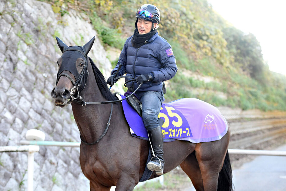 スターズオンアースは８枠１４番からの競馬に