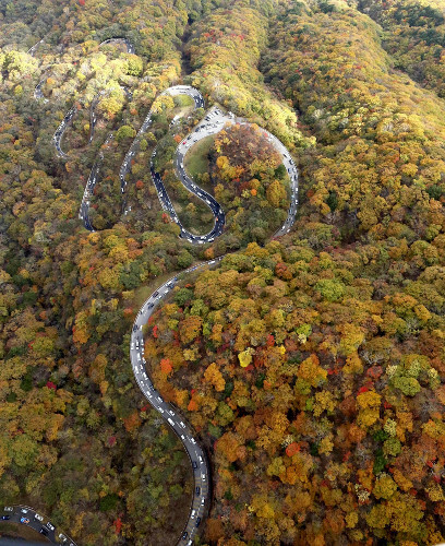 紅葉が見頃になったいろは坂周辺（３日午後、栃木県日光市で、本社ヘリから）＝加藤祐治撮影