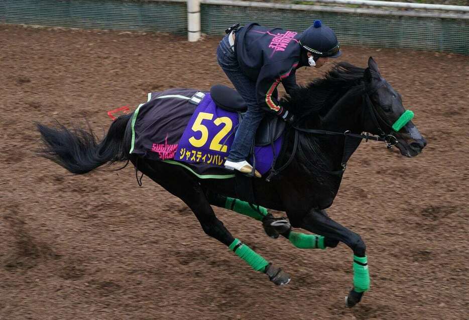 ジャスティンパレスは単走ながら上々の気配をみせた＝栗東トレセン（撮影・岩川晋也）