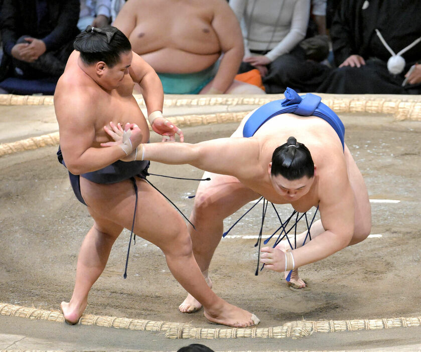 豊昇龍（左）がとったりで大の里を破り１２勝目、１敗を守る（カメラ・今西　淳）