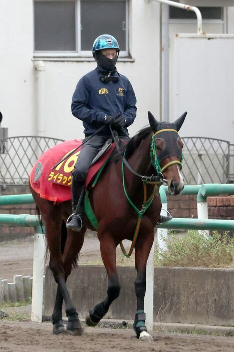 ライラック＝美浦トレセン（撮影・塩浦孝明）