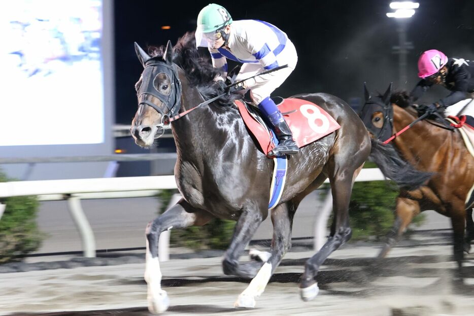 仁淀川特別・ロッキーサンダーと赤岡修次騎手 (C)高知県競馬組合