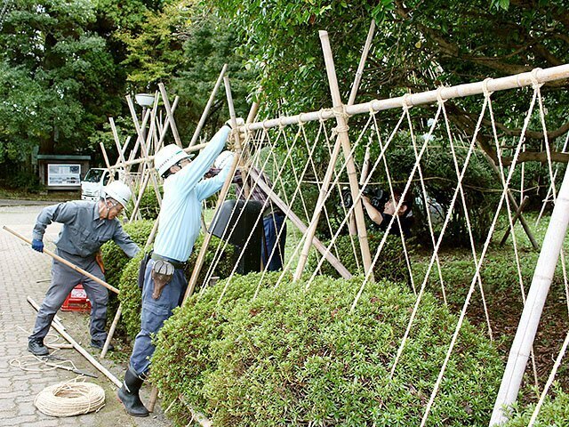 手分けして作業を進めた