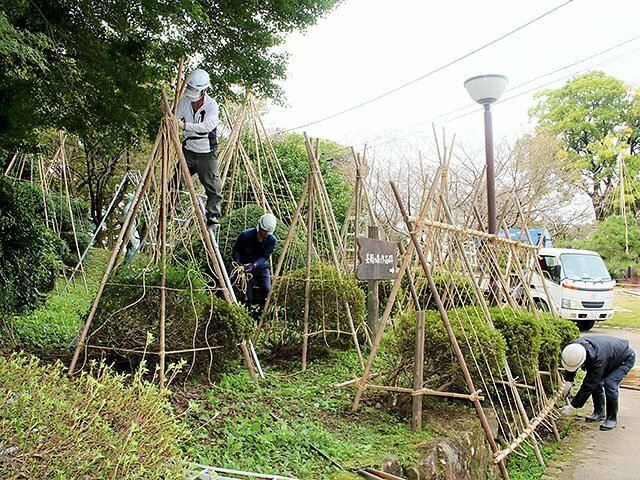 高岡古城公園で、組んだ竹を縄で固定する作業員