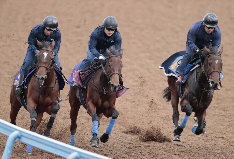 Wコースで追い切ったシリウスコルト（右）