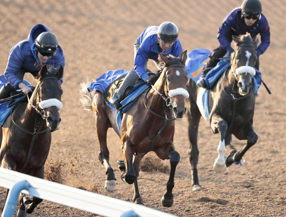 Wコースで追い切ったアロンズロッド（中）（カメラ・荒牧　徹）