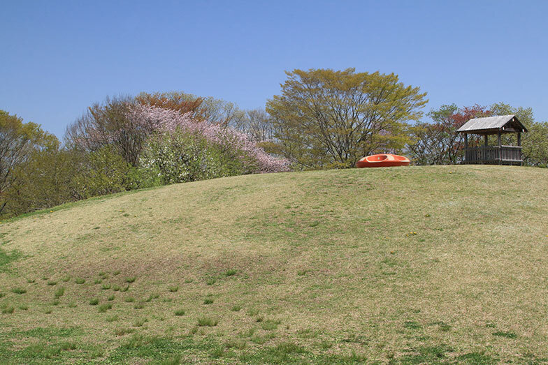 宮城県県民の森（写真／PIXTA）