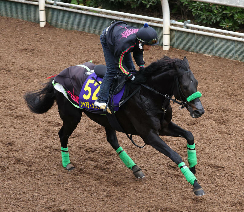 坂路を単走で追い切るジャスティンパレス（撮影・白石智彦）