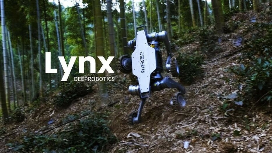 とてつもない運動神経。岩山もぐいぐい登山する犬型ロボット