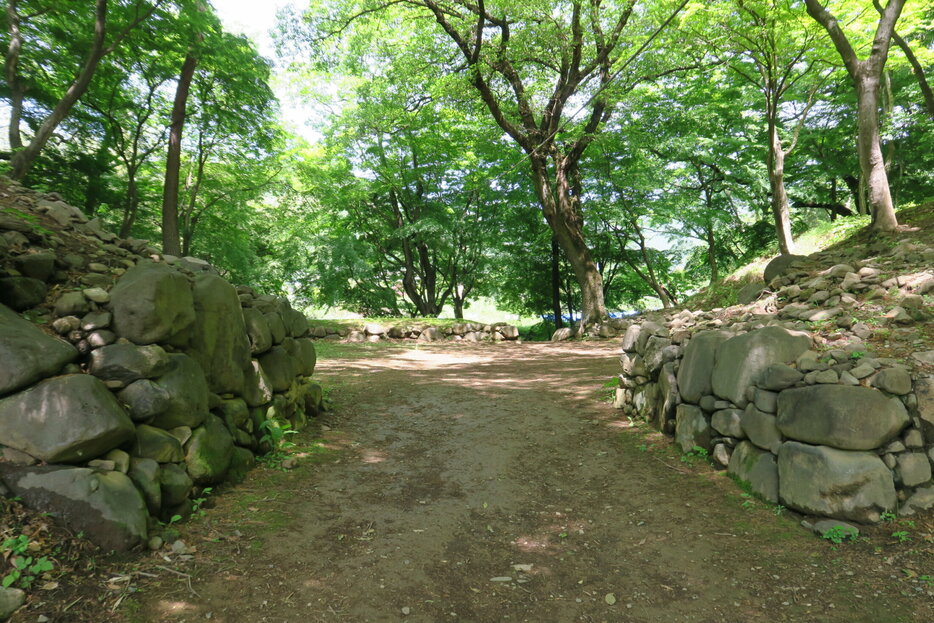 躑躅ヶ崎館（「Webサイト 日本の城写真集」より）