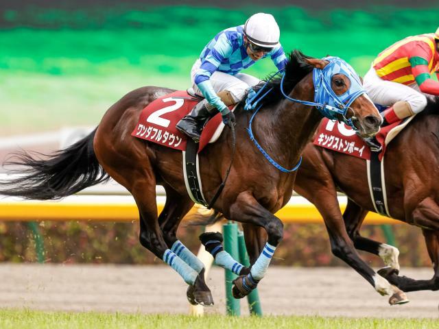 重賞2勝のワンダフルタウンが登録抹消 今後は乗馬となる予定