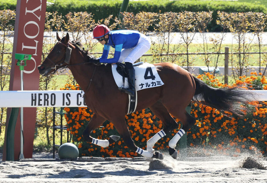 京都4R、後続に大差をつけて新馬戦を快勝したナルカミ（撮影・白石智彦）