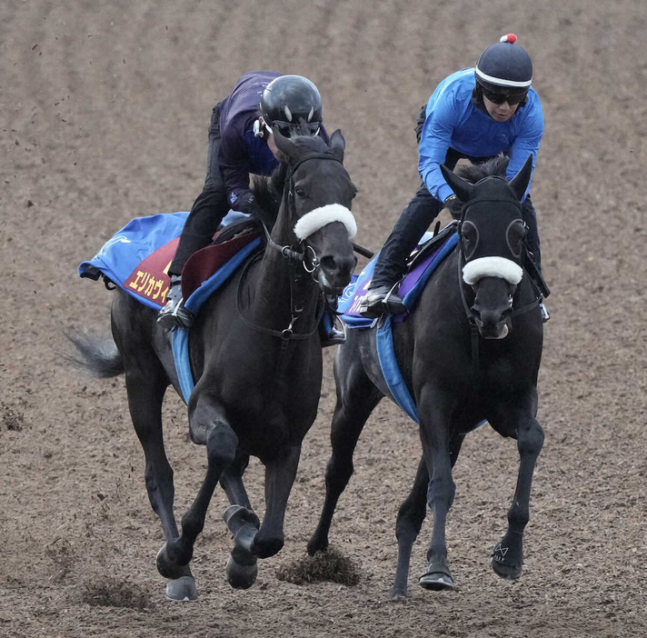 ィアスプライド（右）と併せ追い切るエリカヴィータ（撮影・郡司修）