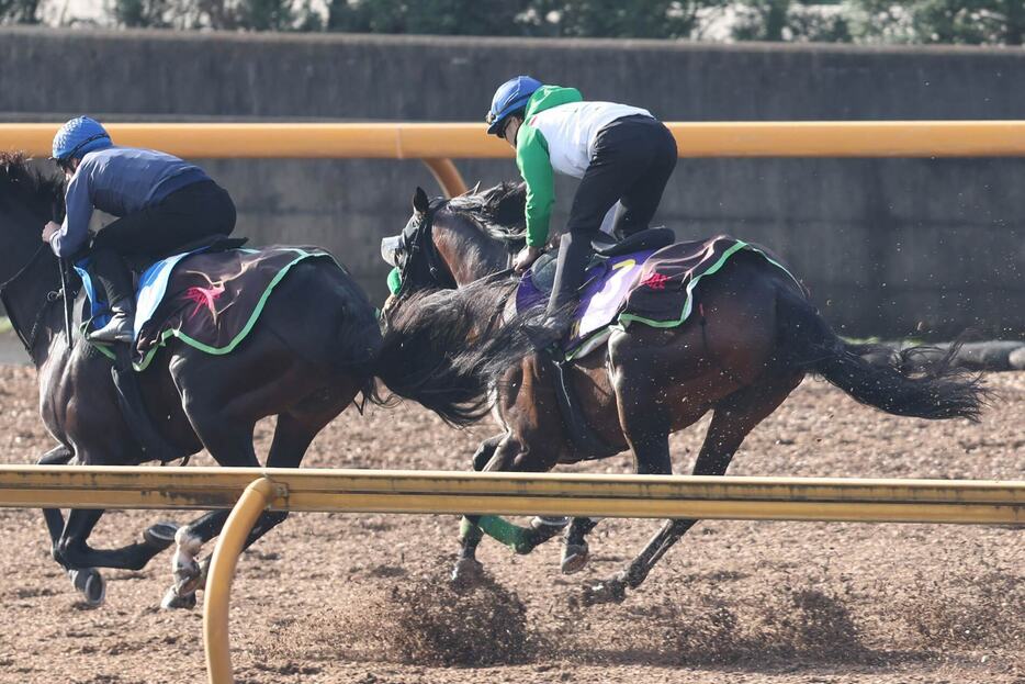 エルトンバローズ（右）は半馬身遅れも順調