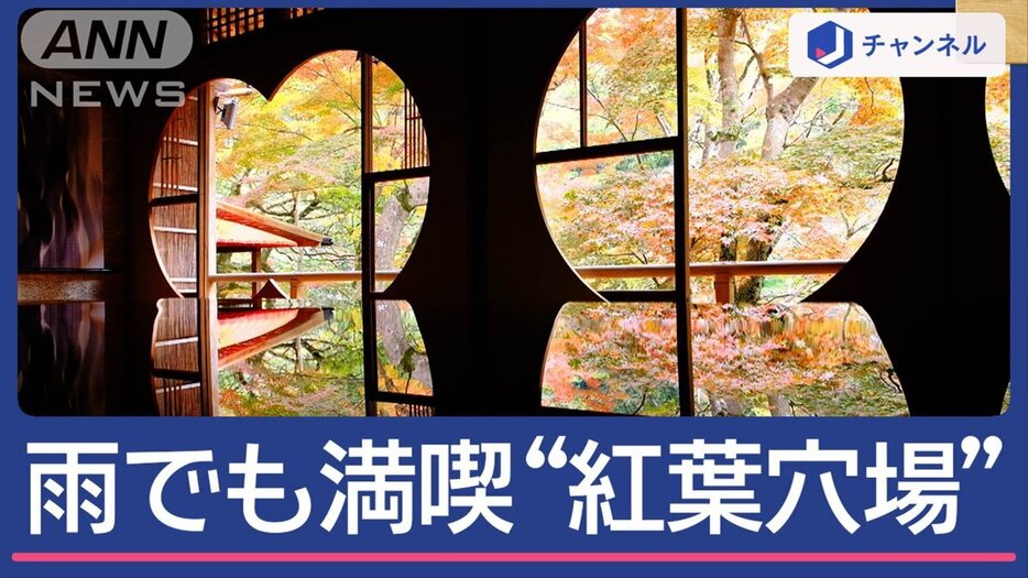 大荒れ列島“初冬の嵐” 雨でも満喫　京都「紅葉の穴場」