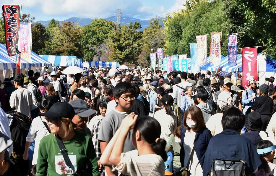 約２４０の出店ブースなどを行き交う来場者ら＝３日、秦野市平沢