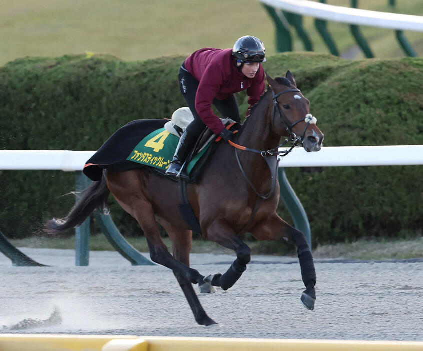 シュタインベルク師を背に東京競馬場ダートコースで調整するファンタスティックムーン（撮影・丹羽敏通）