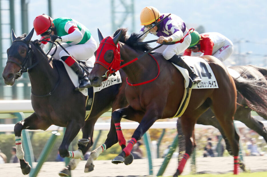 新馬戦を叩き合いで制したピリカサンライズ（手前）