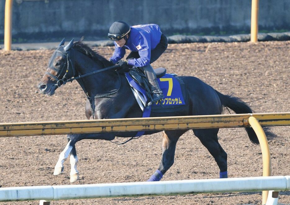 栗東ＣＷで追い切るジュンブロッサム