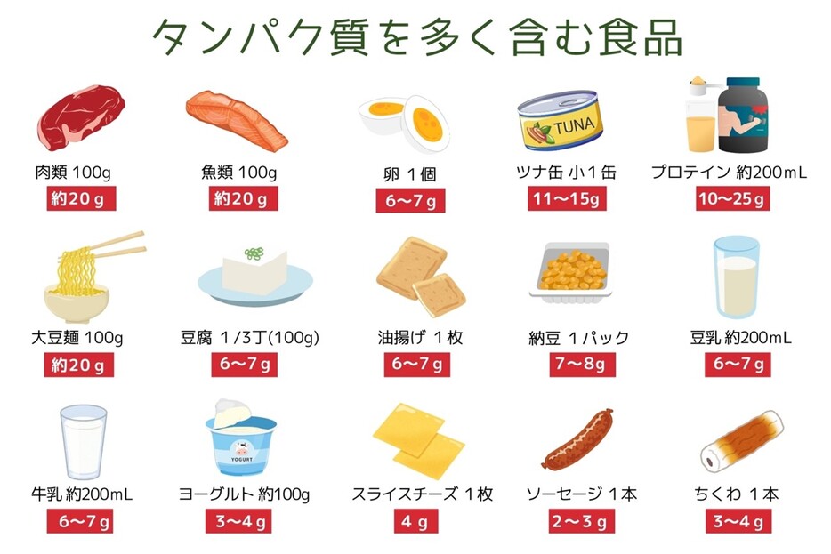 食品に含まれるタンパク質の量