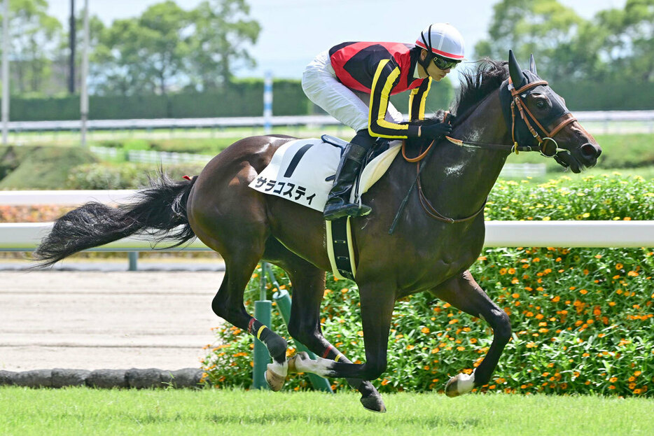 ９馬身差で初勝利を決めたサラコスティが重賞へ殴り込み