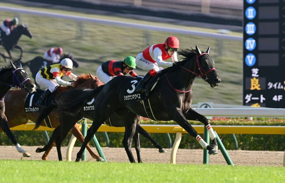 百日草特別を制し2勝目を挙げたショウナンマクベス＝3日、東京競馬場（撮影・奈良武）