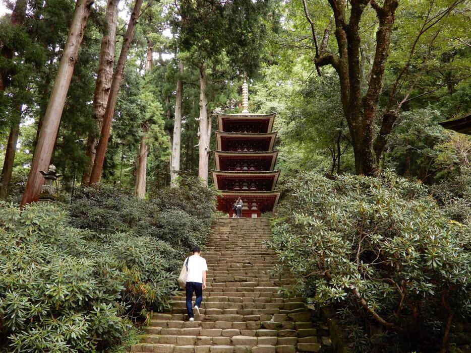 女人高野として知られる「室生寺」や、龍の住まう場所もあると言われていて、観光に訪れる人も多い宇陀市