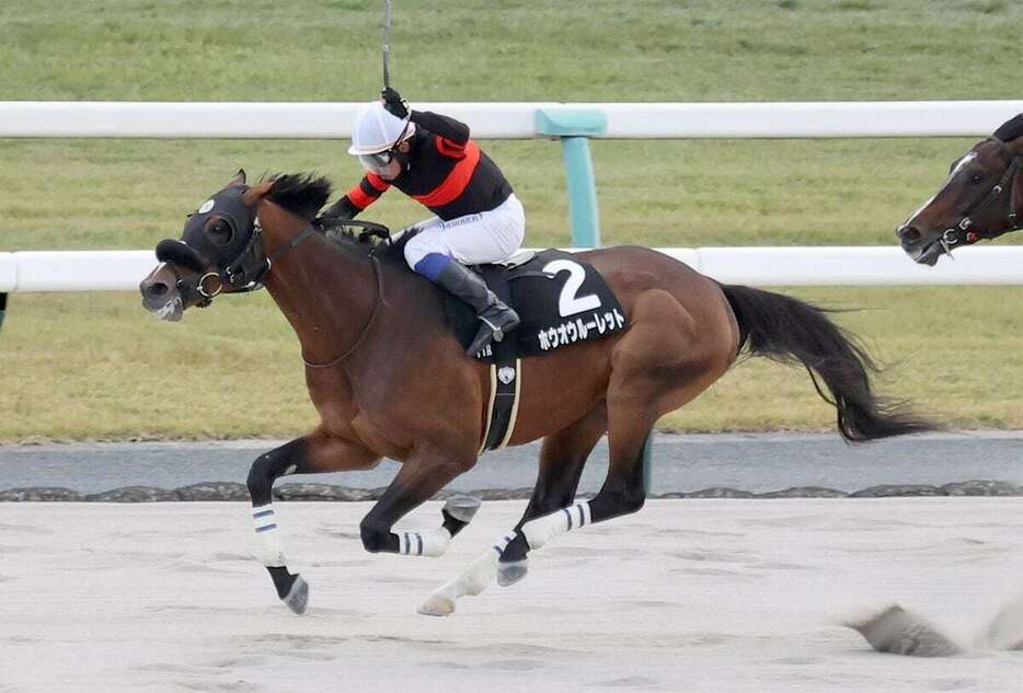 カノープスSを制したホウオウルーレット＝京都競馬場（撮影・安部光翁）