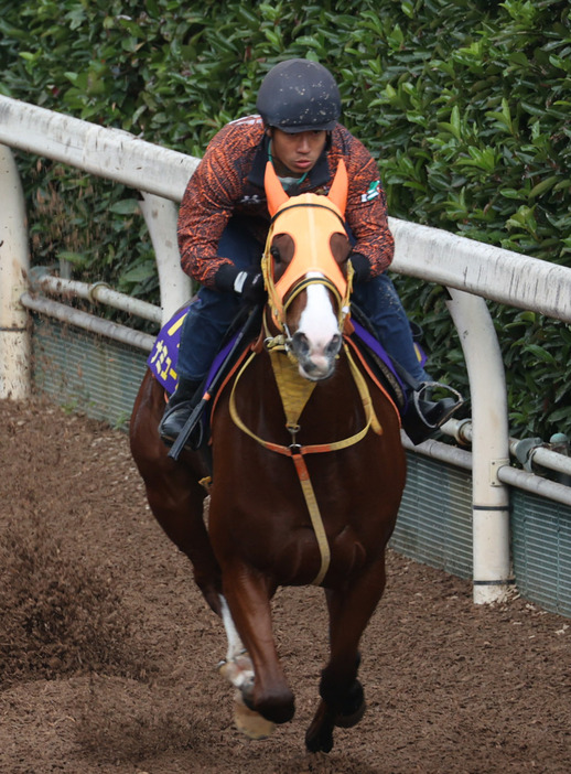 坂路で追い切るナミュール