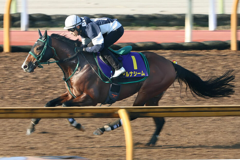 最終追い切りでしっかり折り合ったアルナシーム