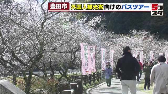 四季桜や紅葉の名所を訪れる外国人向けバスツアーを企画