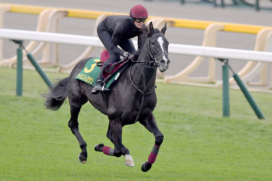 ジャパンＣでラストランを迎えるオーギュストロダン