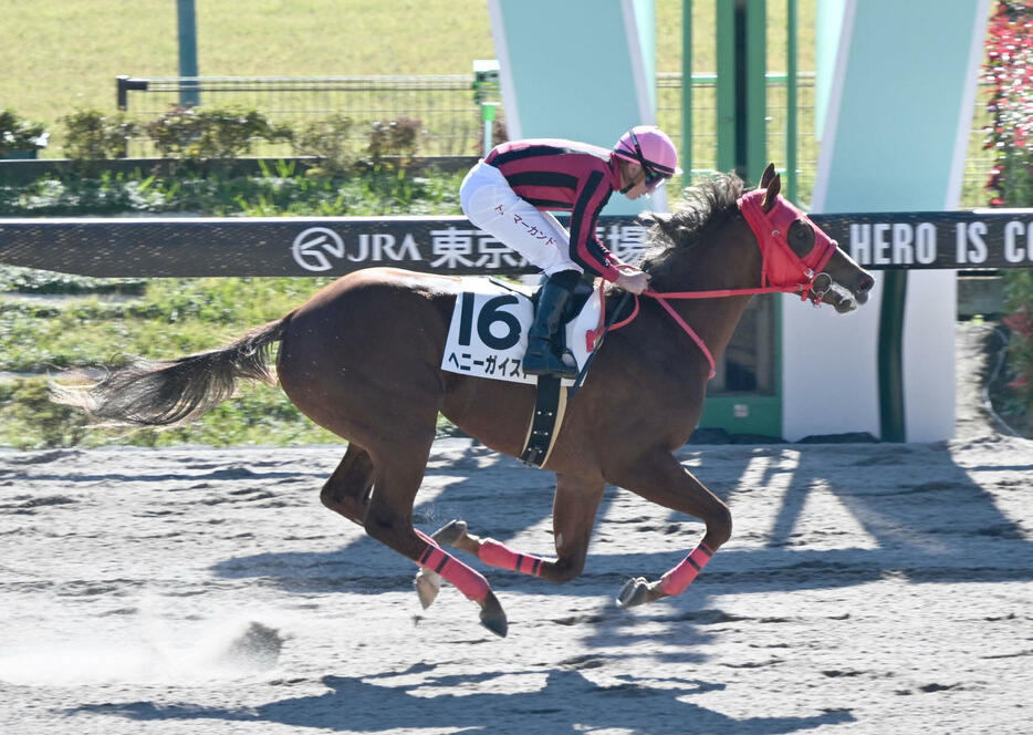 2歳新馬戦を制したヘニーガイストとマーカンド騎手（撮影・千葉一成）