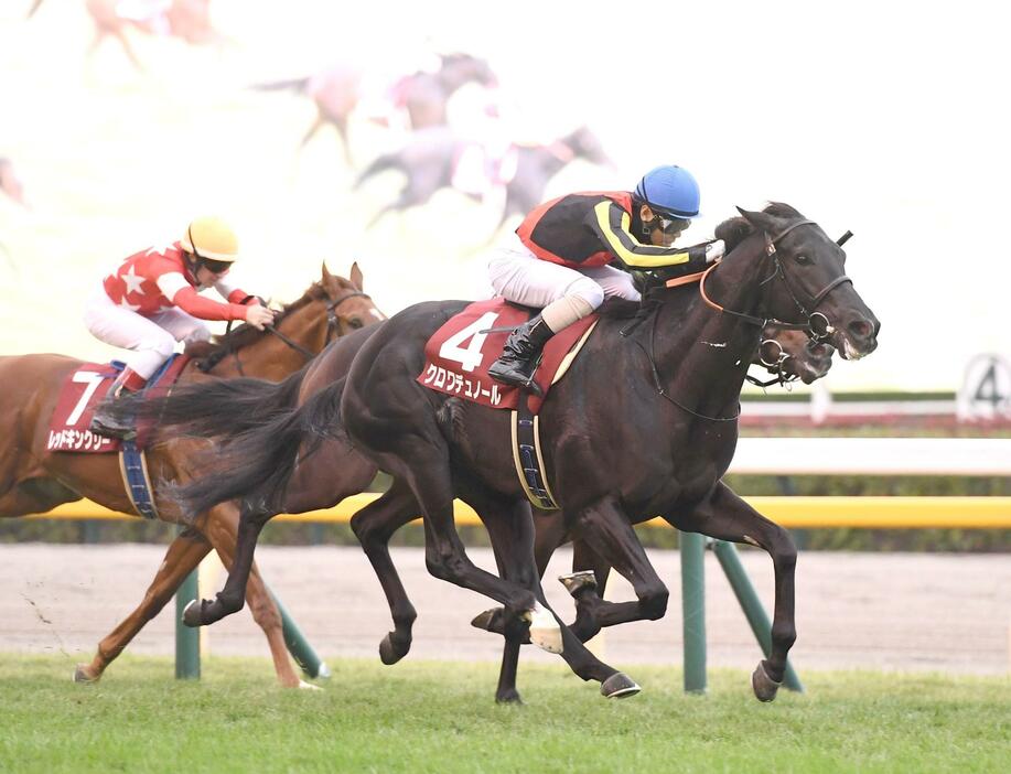 　東スポ杯２歳Ｓを制したクロワデュノール（撮影・園田高夫）