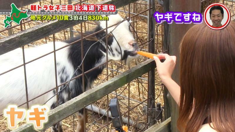 CBCテレビ『道との遭遇』