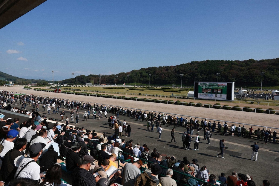 JBC3競走が開催された佐賀競馬場（撮影・中辻　颯太）