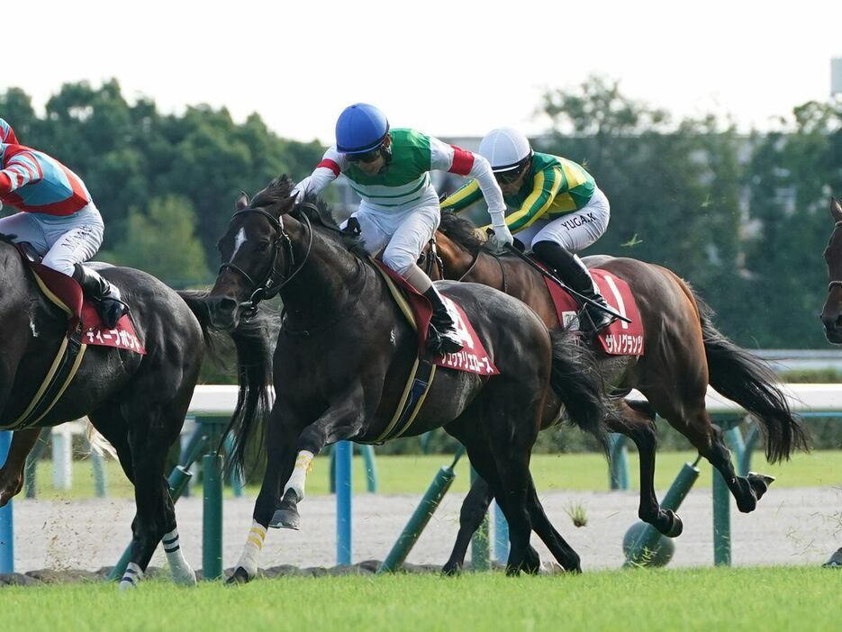 京都大賞典を制したシュヴァリエローズ