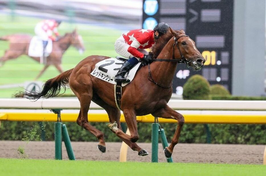 初戦は楽な手応えで完勝だったレッドキングリー