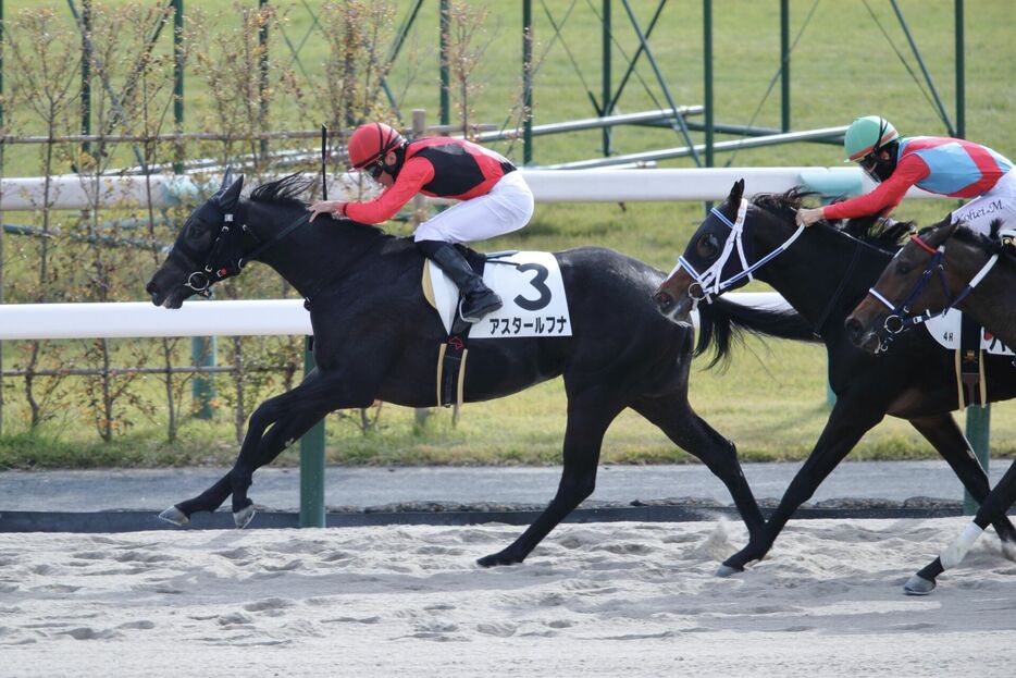 京都4R・アスタールフナと岩田望来騎手