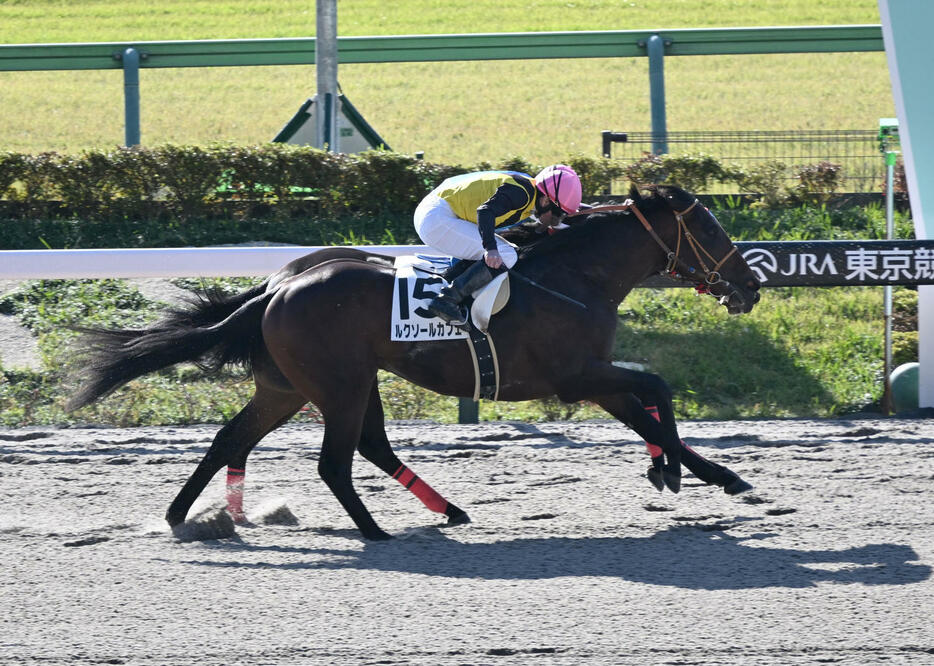 東京1R・2歳未勝利戦を制したルクソールカフェ（手前）と、2着アドマイヤデイトナ（撮影・千葉一成）