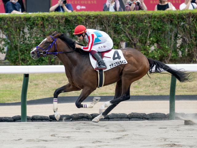 札幌のデビュー戦を圧勝したナチュラルライズ(撮影：山中博喜)