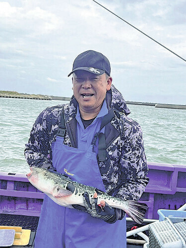 大原漁港で水揚げされたトラフグ（睦栄丸提供）