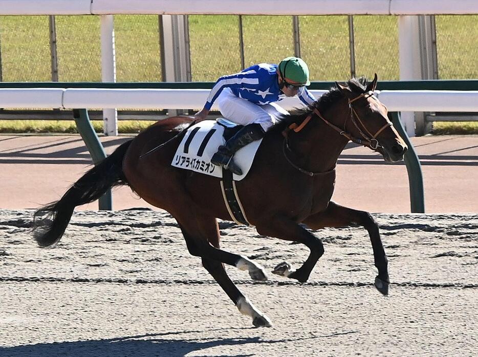 　新馬戦を勝利したリアライズカミオン（撮影・園田高夫）