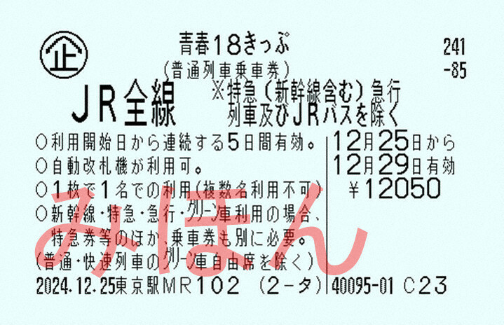 今冬にリニューアルする、JRの青春18きっぷ（見本）。「利用開始日から連続する5日間有効」と記載されている＝JRグループ提供