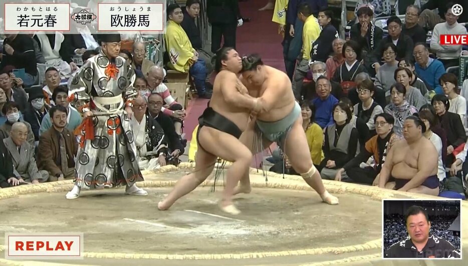 若元春と欧翔馬の取組を解説する豊ノ島