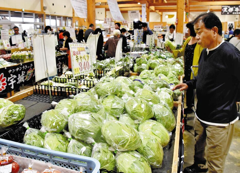 採れたての野菜を選ぶ来店客（10日、熊本県宇城市のサンサンうきっ子宇城彩館で）