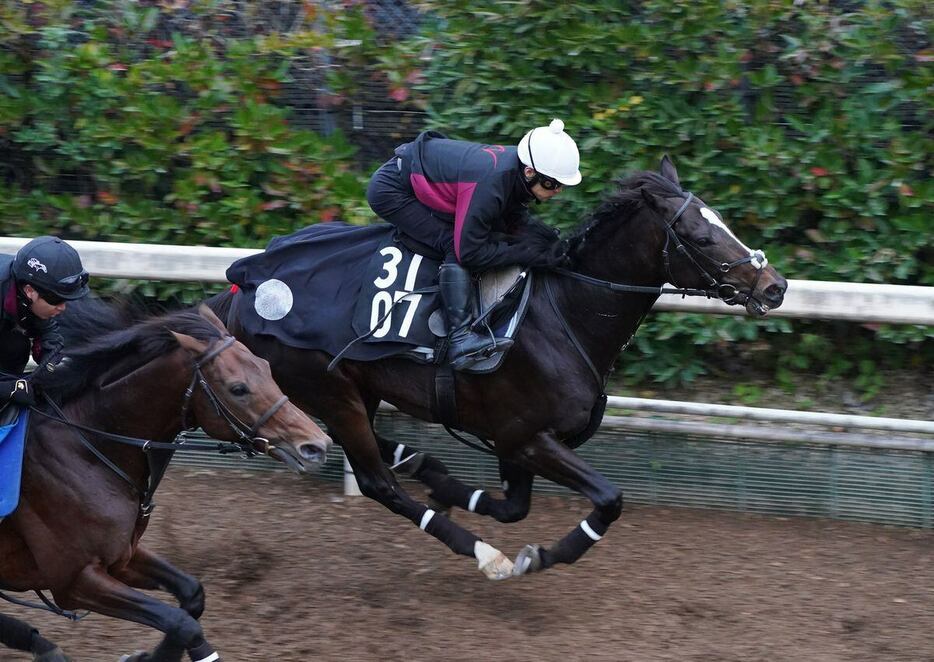 クビ先着したエリキング（奥）＝栗東トレセン（撮影・岩川晋也）