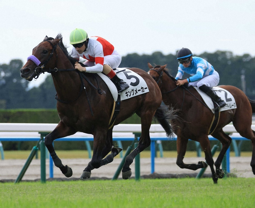 ＜京都5R＞新馬戦を勝利したキングメーカー（撮影・中辻　颯太）